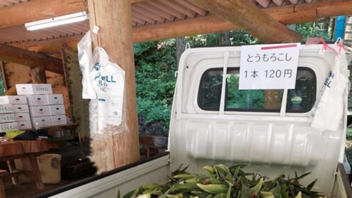 酷暑の週末?