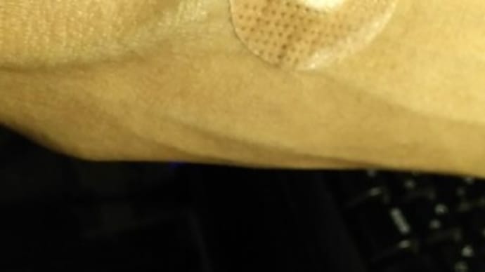 昨日は、献血ルームで、献血でした。