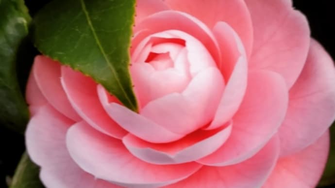 3.11という日