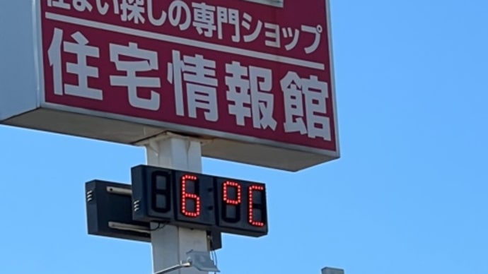 蕾はまだ固い