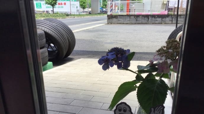 裏山のウエルカムフラワー