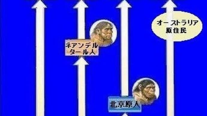 ホモ・サピエンス誕生のシナリオ3