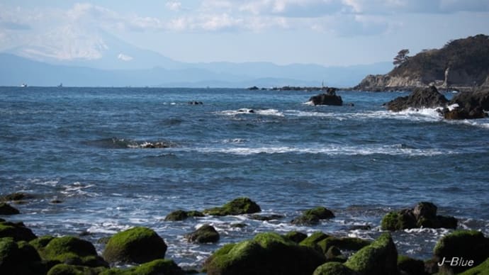 三浦半島「ソレイユの丘」(長井海の手公園)情景編