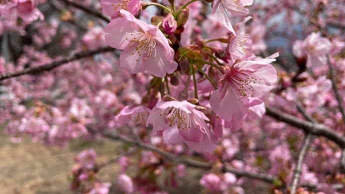 3月も終わり