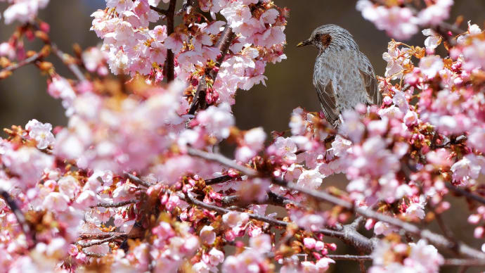 宇都宮城址公園散策