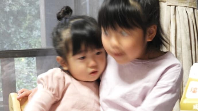 孫達と雨の日曜日 また 賑やかだよ。
