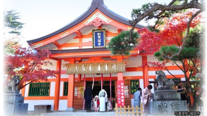 11月の行事「もみじ祭り」紅葉八幡宮