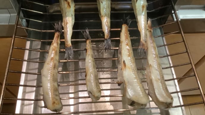 ニギス塩焼(^。^)もやし炒め