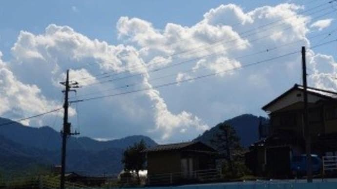 今日はにぎやかDay