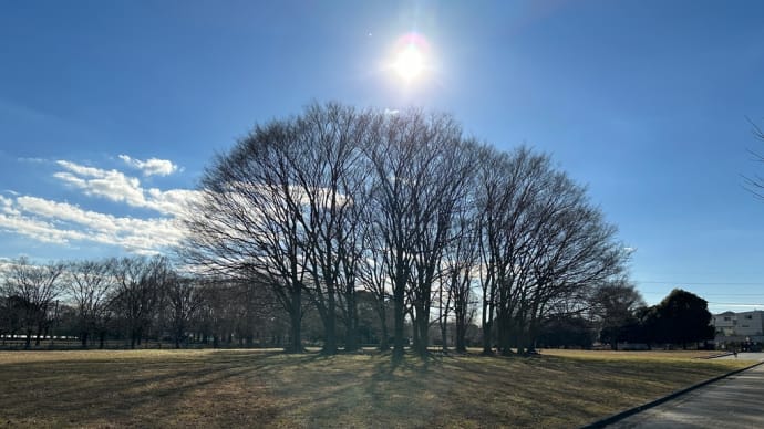 今年もありがとうございました。