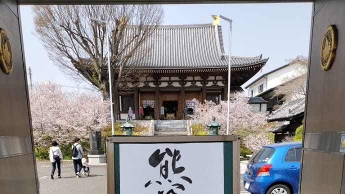 熊谷桜 (熊谷市・石上寺)