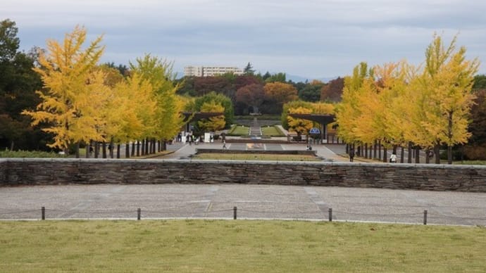 20241116 昭和記念公園~東京都薬用植物園