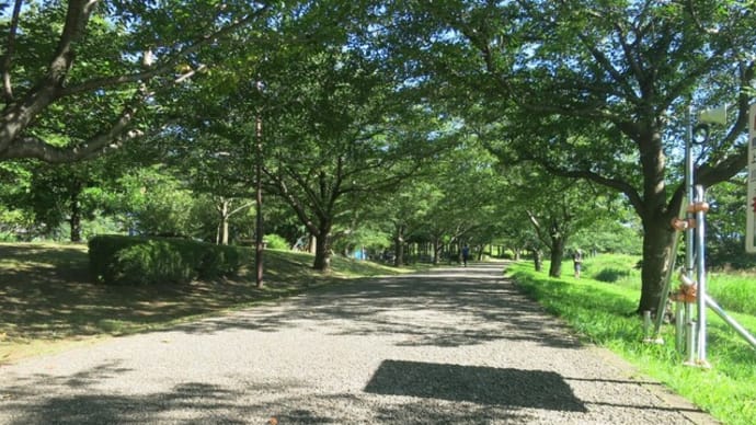 ぶらりJOG~引地川親水公園