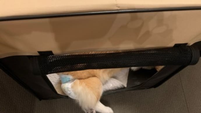 小さなこだわり？