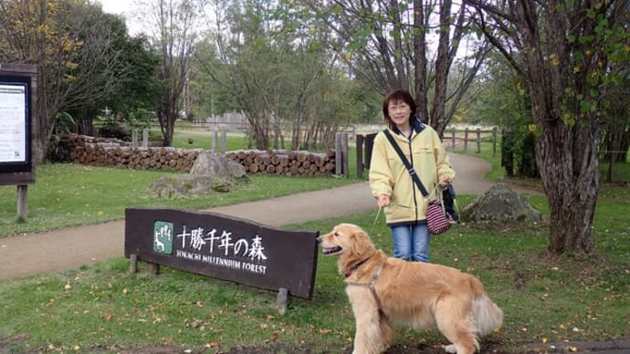 紅葉ドライヴ 糠平温泉