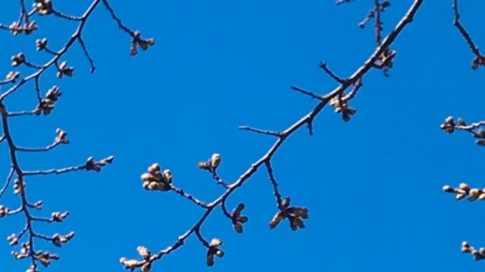 2021年 3月春分の日