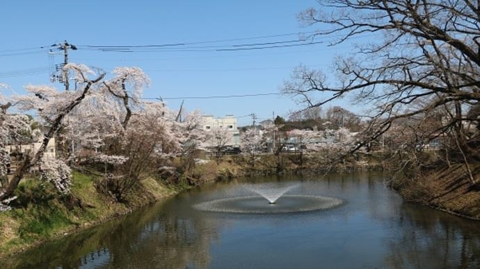 4/1(土)その2 棚倉町の桜