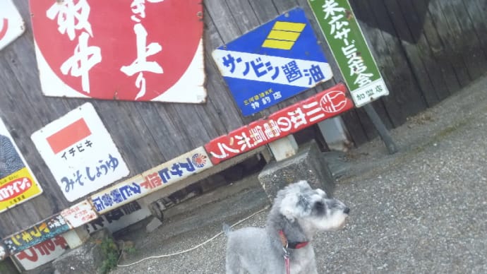 明日は雨?
