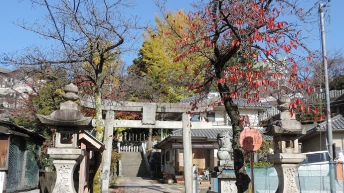 神社の黄葉