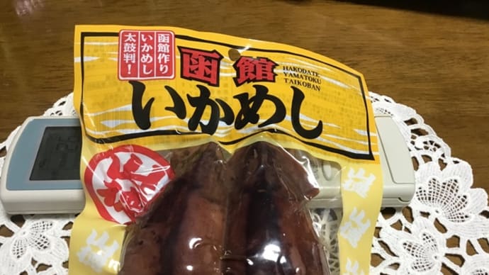 行ったつもりで イカ飯