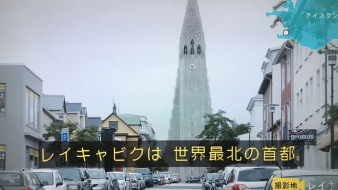 【旅の思い出】アイスランド 世界ネコ歩きを見て思い出すレイキャビク