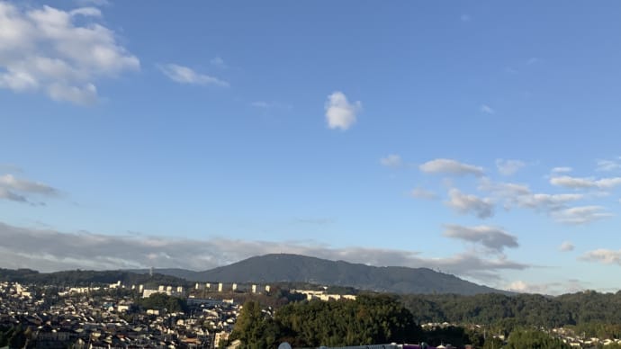 一番古い脳