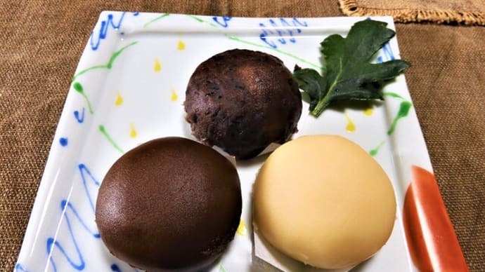 2023・9・20 バスの日。とらやのおはぎ。彼岸の入り。