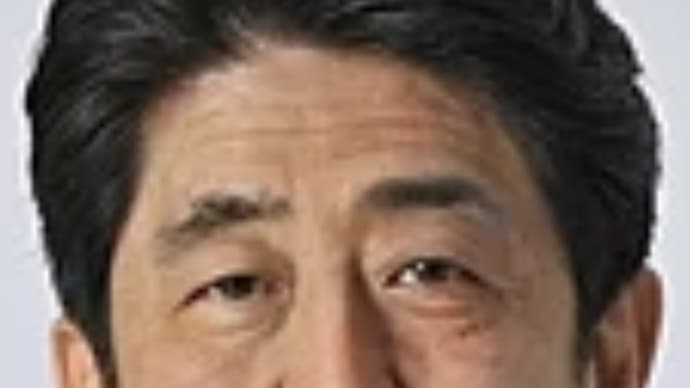 タロットで占うポスト菅義偉殿は安倍晋三殿か