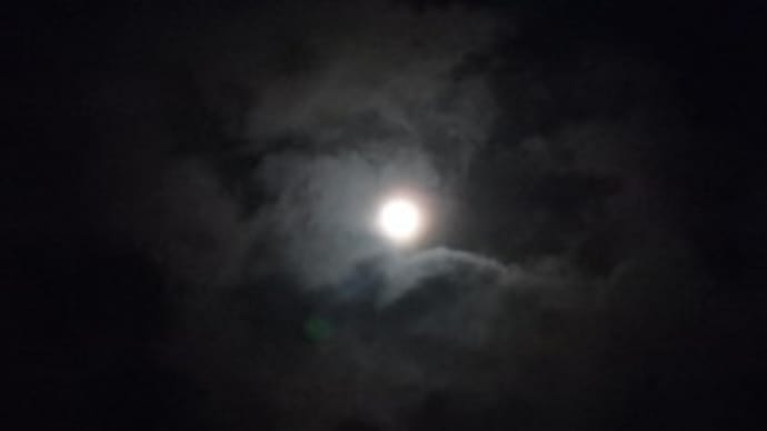 月が美しい♪