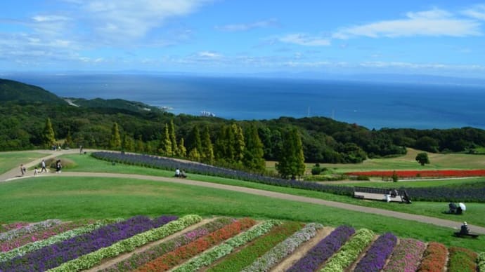 兵庫県立あわじ花さじき
