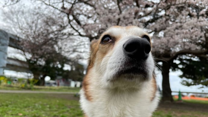 ☆今週末は☆