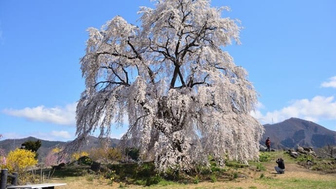 春の信州行 ( 日本で最も美しい村 高山村 )