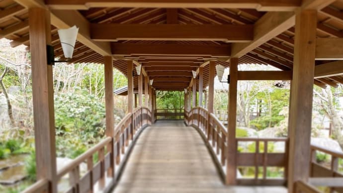 好古園お屋敷の庭で楽しむ季節の色|姫路③