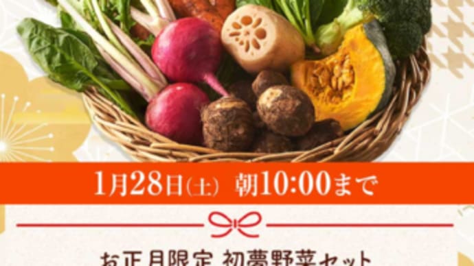 つい乗っかっちゃうお試しの心