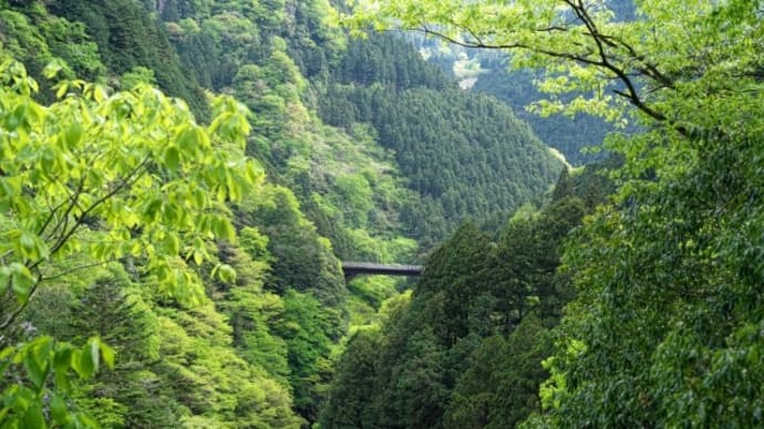 奥多摩むかし道を歩く