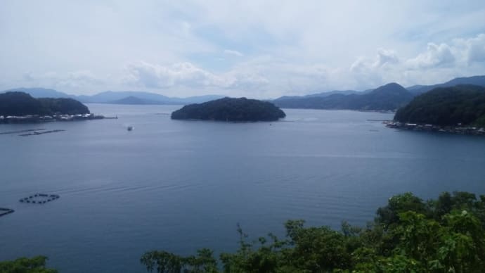 伊根湾めぐり遊覧船