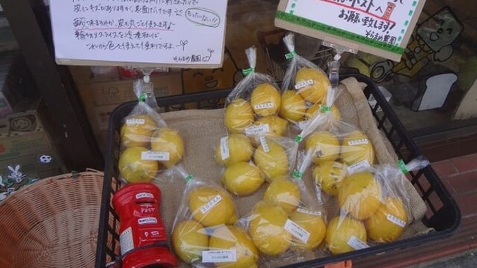 ほぼ自然栽培のレモン3個200円