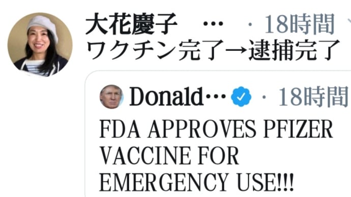 トランプ大統領の言う【ワクチン】は逮捕の意味!ワクチン完了→逮捕のための配備完了!日本、世界中のディープステート、中国共産党一味の50万人大量逮捕開始!政治家、官僚、財界、メディア、製薬会社