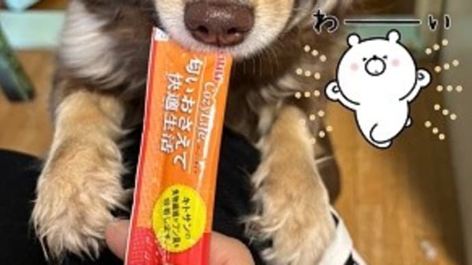 ルーモス 1歳9ヶ月