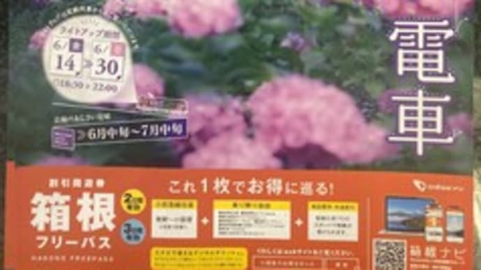 箱根登山鉄道あじさい電車の旅その1 大平台のスイッチバック