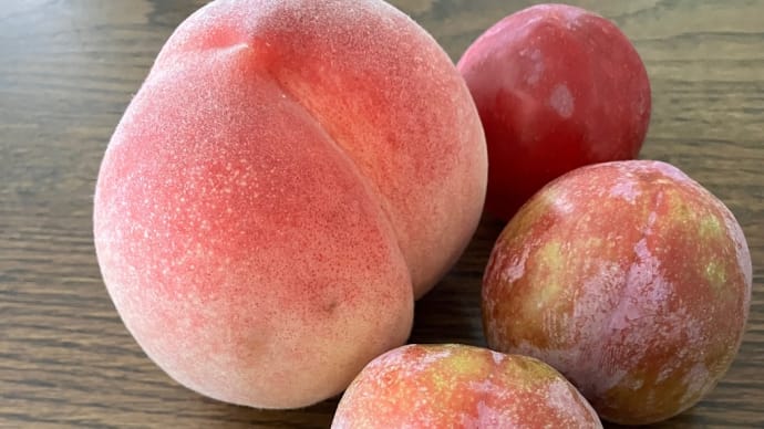 桃🍑モモのおやつ