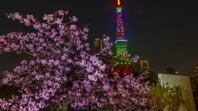 東京マラソン前日ライトアップ