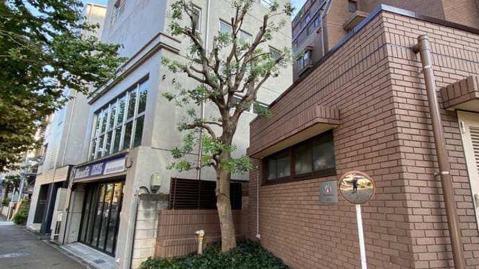 ヤマモモの剪定 東京庭木手入れ 植木屋鈴木商店のブログ