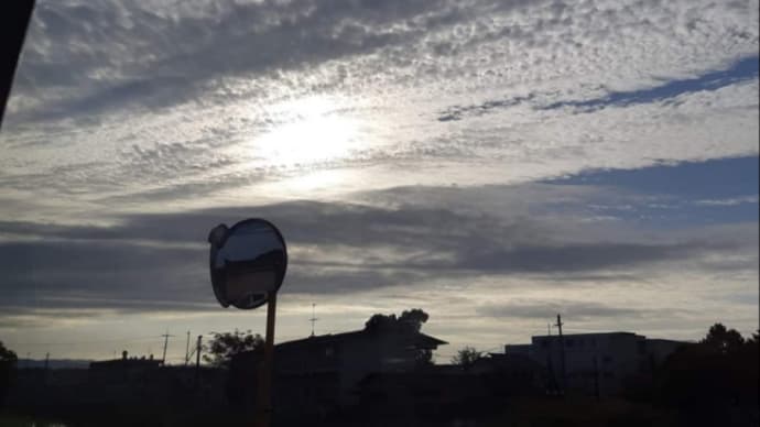 空を見上げます