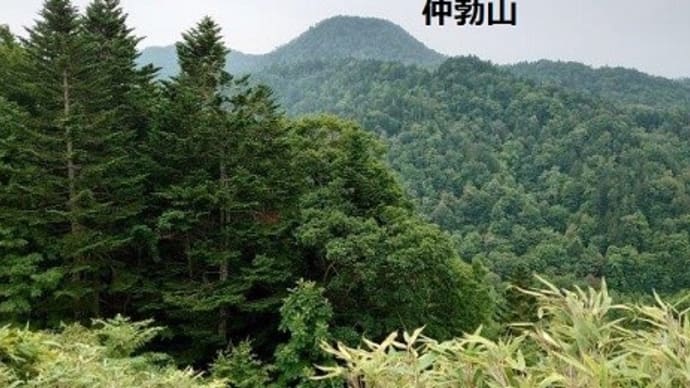 涼雨の佐々山☂四等△