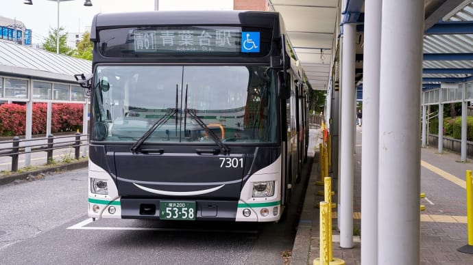 恒例のバンド関連、タケノコ狩り 2025年
