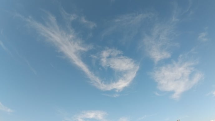 土曜の朝