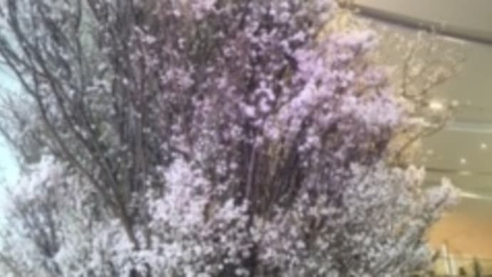 気持ちが忙しいのよ