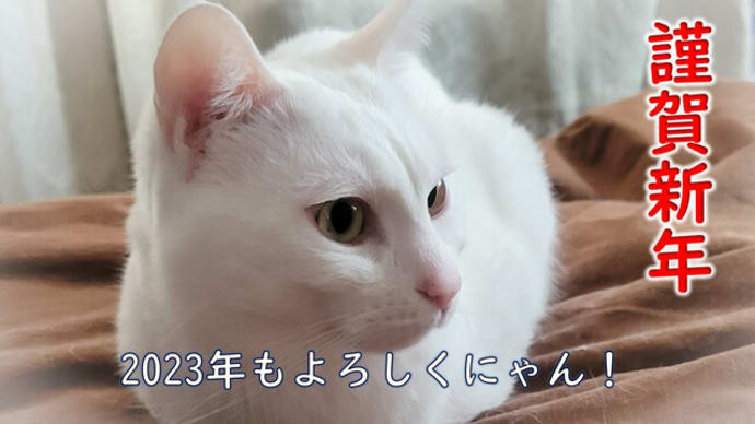 2023年もよろしくにゃ!