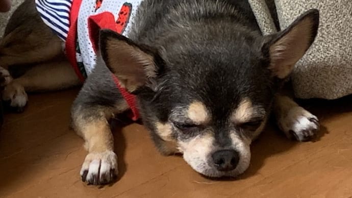 かあちゃんの悲しみ。